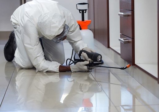 commercial-pest-control- commercial-pest-control-